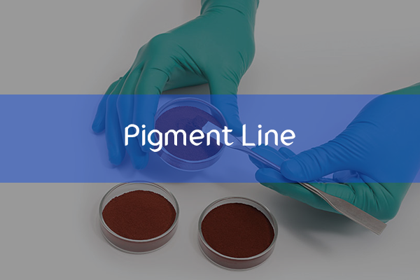 pigment line-home-dci